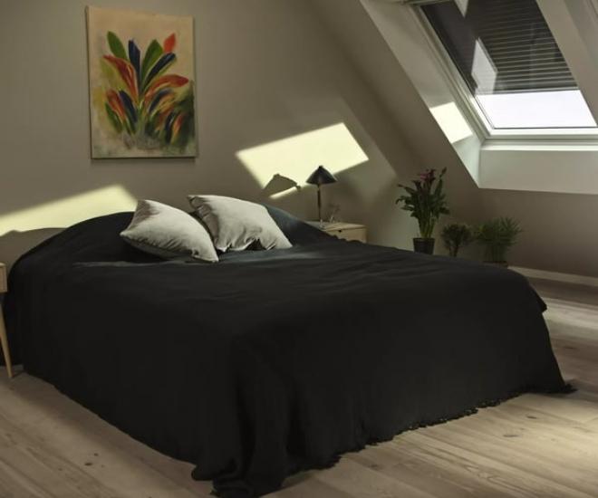 Velux V